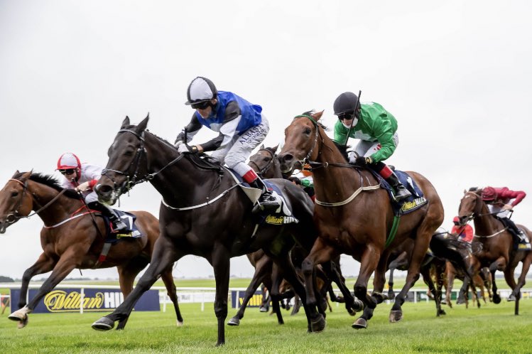 leannebreen's tweet image. A true gentleman retires from the saddle today. Grateful to have had winners together. Happy retirement Kevin @kmanning910