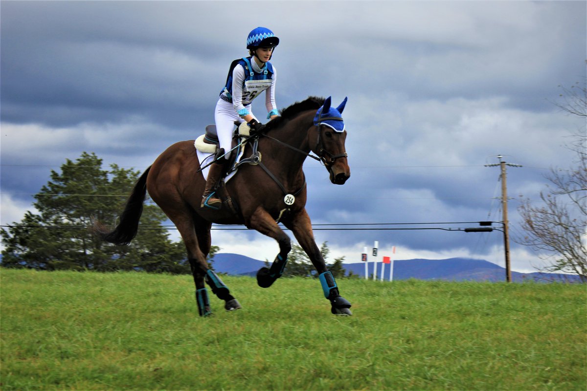 PSA: The RIDE TIMES for the Virginia International Horse Trials November 3-6 are available here: vahorsecenter.org/event/virginia…