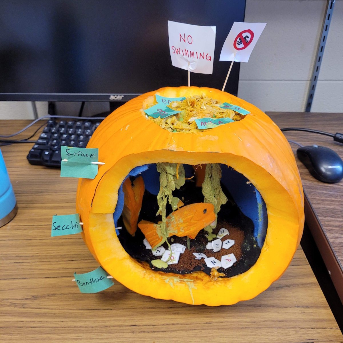 forWaterNetwork's tweet photo. What's more spooky than harmful algal blooms in Canada’s watersheds?

The Müller lab, a part of the #forWaterNetwork, created a diorama of algae blooms in the different parts of the water column and won 1st prize at the @WaterlooSci grad student pumpkin contest!
🙌🎃🙌 https://t.co/LjQVstVLfE