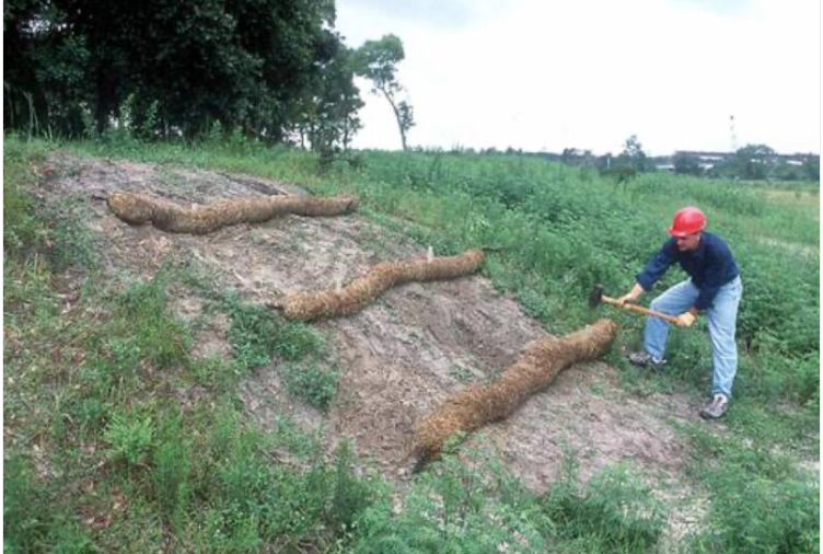 PanXchange's tweet photo. "Researchers hope the manufacture of the new bio-products will create supply chains for #hemp farmers and #processors aimed at a large institutional buyer." -- #minnesota @MNagriculture  @AURIcomm More industrial #hemp innovation for #erosioncontrol https://t.co/xGmon7KOQC https://t.co/CUTET7sTLr