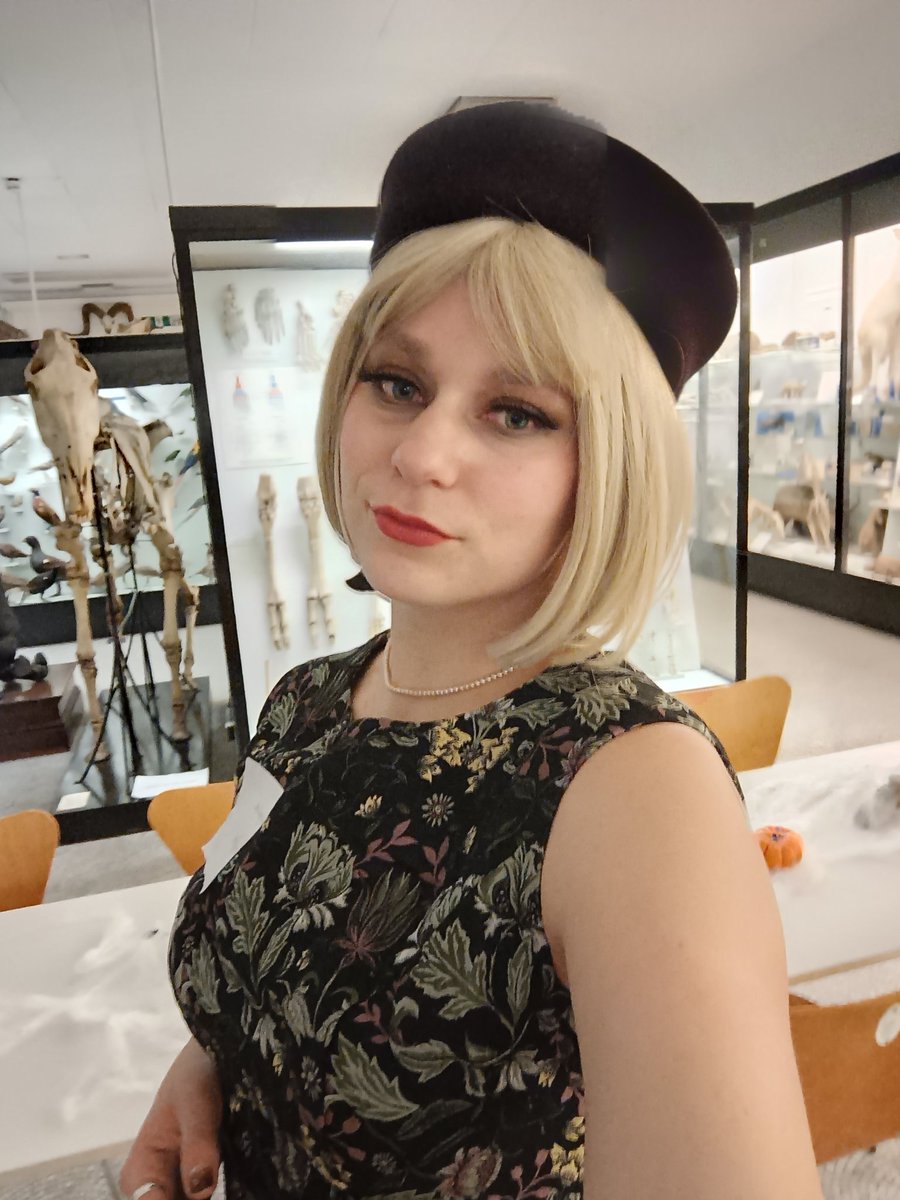 Dr Dagmar, Archerfishionado tweet media