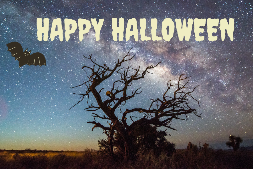 TPWFoundation's tweet photo. Happy Halloween! Have you seen any "spooky" wild things lately? Let us know in the comment below!
#WeWillNotBeTamed #LiveAmongtheWild #JointheWildLife #TexasParksandWildlife #TexasFisheries #WildAnimalsofTexas #TexasWildlife #ParksinTexas #ParksandWildlife #TexasStateParks https://t.co/EZyWWr5iOr