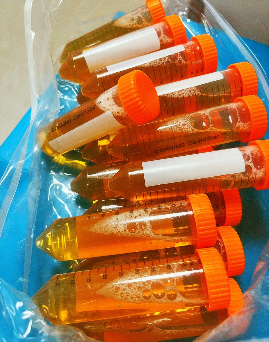 screw candy i’m handing out FBS tubes to trick or treaters tonight