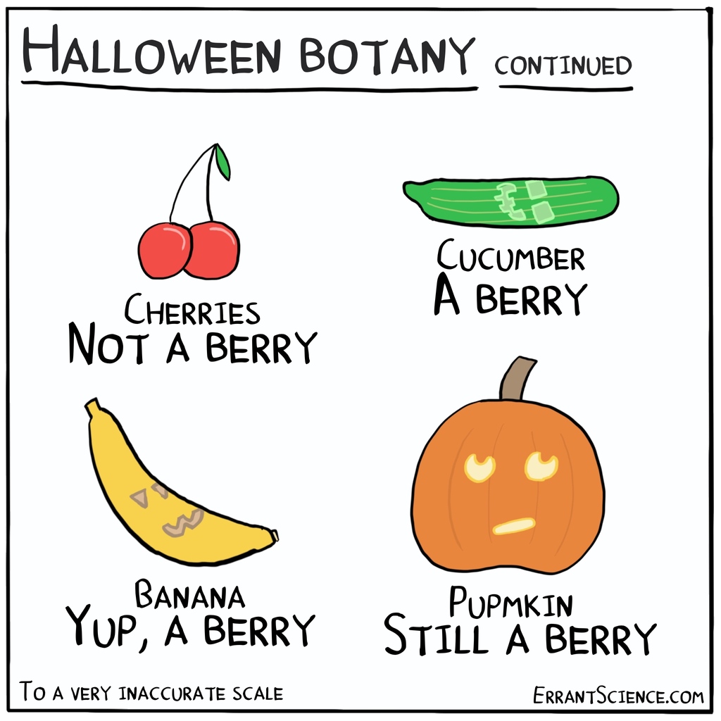 ErrantScience's tweet photo. Continued from our earlier cartoon, more Halloween botany craziness 🙄 #Halloween #Pumpkin #Botany https://t.co/GKMKN9SRBh