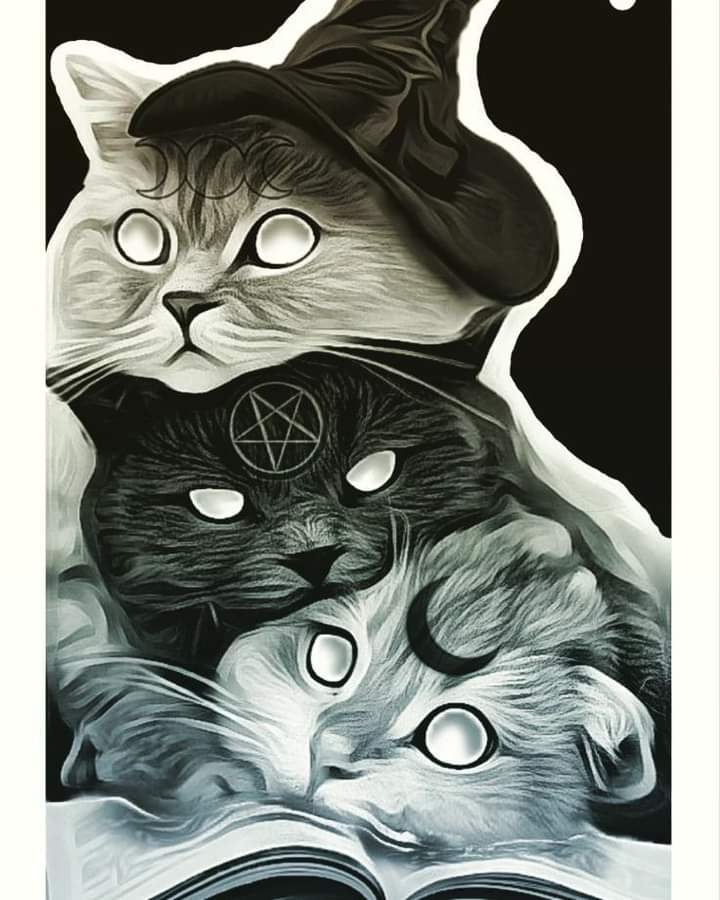 ThePhoenixSway's tweet photo. Happy Samhain!!! May the thinning of the veil bring you the best spiritual energy, and you feel the love from those who have left us 🖤 🎃🕸🕷🦇 https://t.co/N4iAHoufK0
