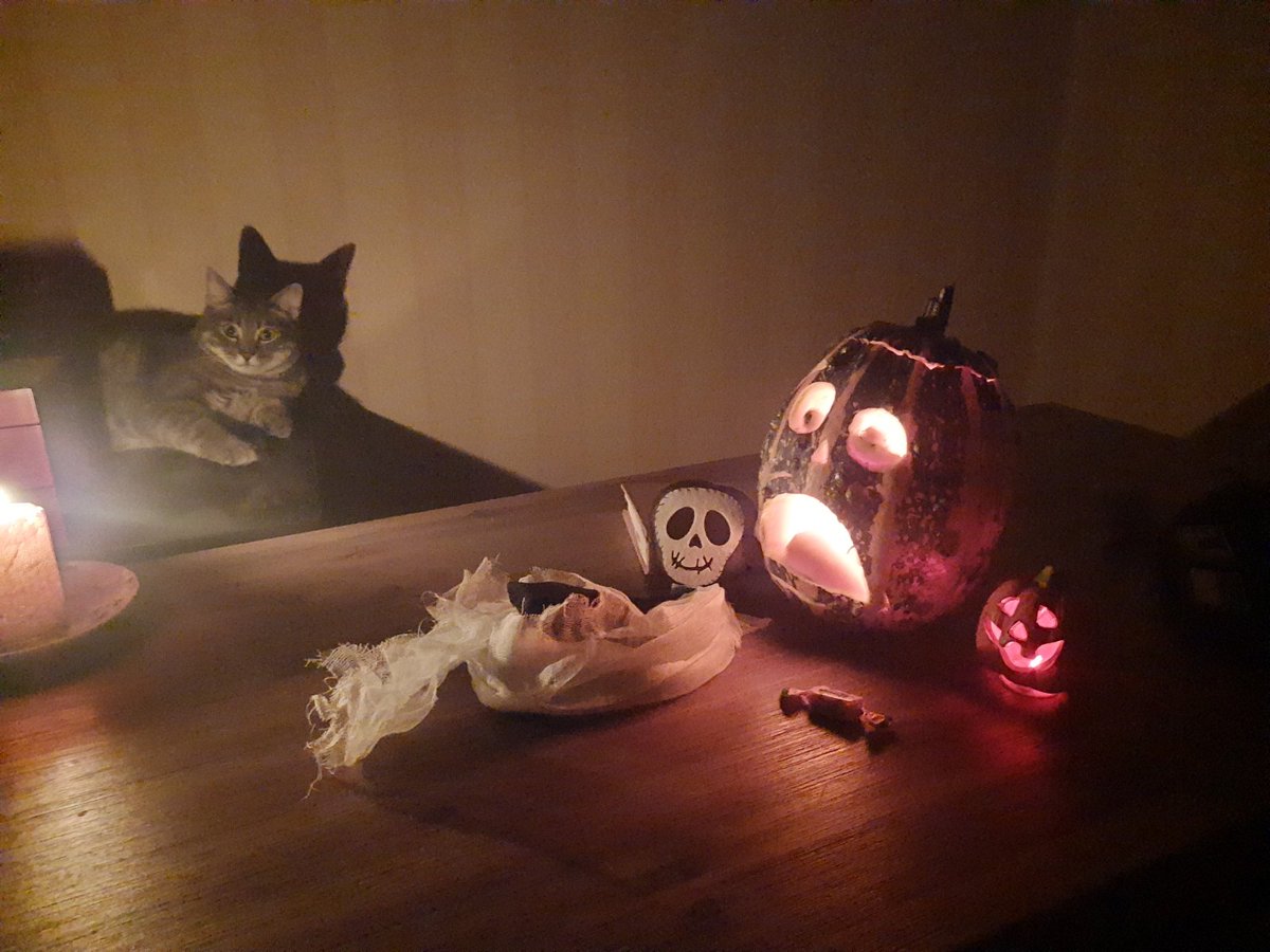 Volodymyr Dotsenko tweet media