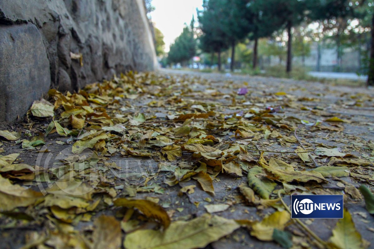 ArianaNews_'s tweet photo. As winter approaches, the trees of Kabul turn copper - testimony to the already chilly weather in the capital

#ArianaNews #Autumn #Kabul #Nature #Trees #Photography https://t.co/IF5YePCkbI
