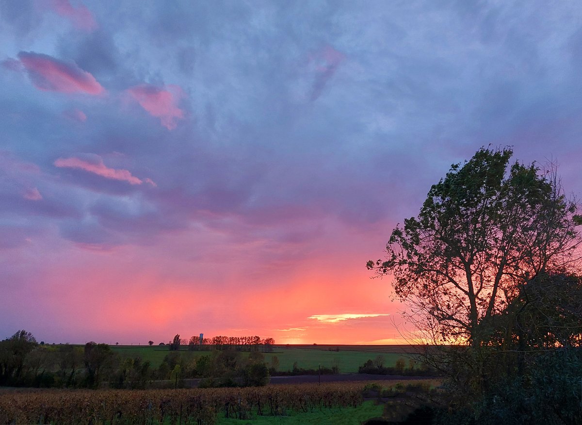 A colourful sky this evening for Halloween
#holidayvilla #France #charentemaritime #villafortwo #ruralretreat #privatepool #vineyardview #villawithpool #sawdaystravel #sundown #sunset