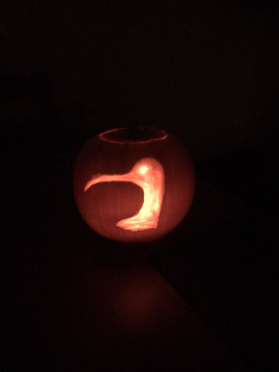 Sammers_Lee's tweet photo. #HappyHalloween to all the #curlew creatives! This fab seasonal curlew produce provided by the talented @iainmalzer 🎃. But are there others out there 🤔?@CurlewLIFE https://t.co/SZdeCYOE8H