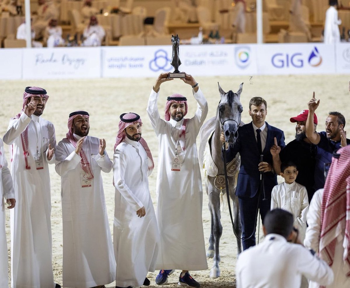 شمال سما نجد
يحقق لقب البطل الذهبي لفئة الأمهار أعمار سنة في بطولة الإنتاج المحلي لجمال الخيل العربية ٢٠٢٢ 🥇🏆

ليضيف الميدالية الثانية في رصيده بموسمه الأول ، نفتخر في سما نجد بصناعة هذه الجودة في بداية نتائج برنامجنا الإنتاجي و نتطلع للأفضل بفضل الله 

هُنا : تُصنع النجوم ⭐️