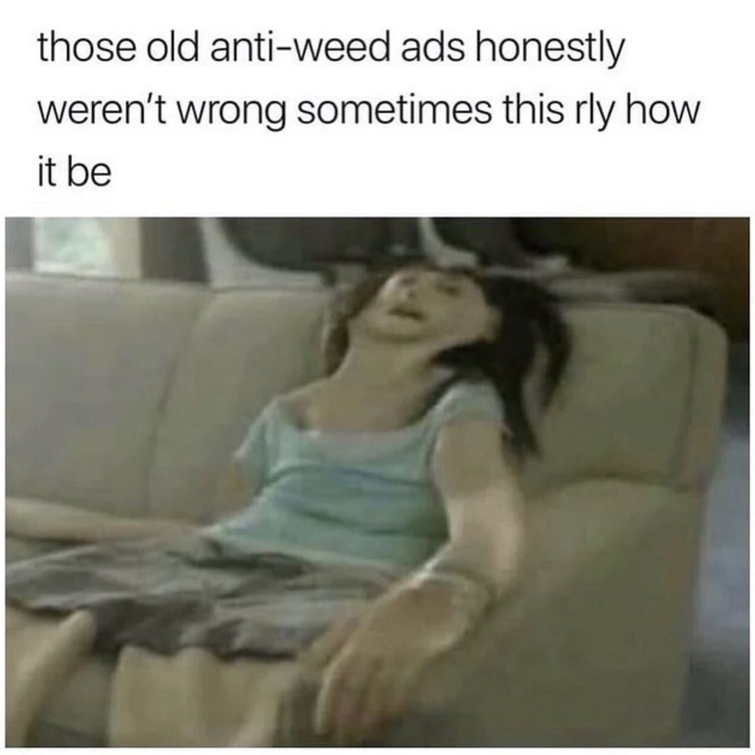 THC Humor 💹🧲 tweet media
