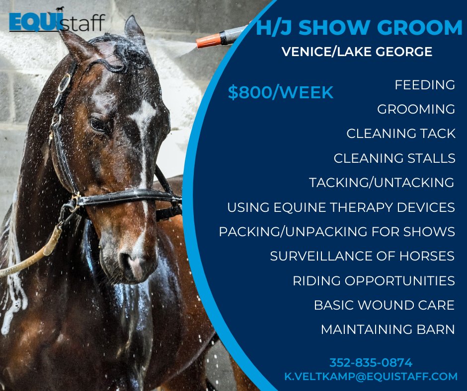 EQUIstaff's tweet photo. Exciting new Hunter/Jumper Show Groom position split between Venice, FL and Lake George, NY!  Interested? Call 352-835-0874 or email k.veltkamp@equistaff.com 

Job description: https://t.co/JptNvGlCTM 
#groom #equistaff #newyork #lakegeorge #florida #venice #horse #horsejob #jobs https://t.co/7Lejw9Mv7p