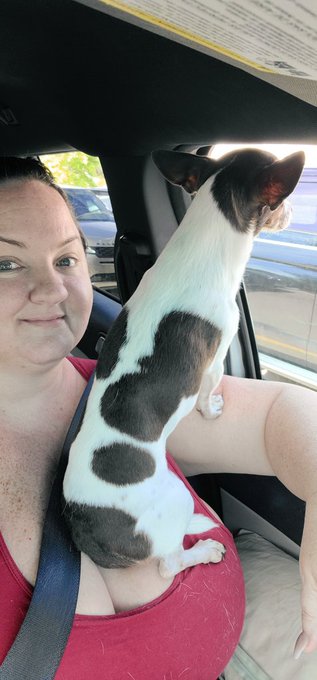 Harvey's a parrot. 🦜🤣 https://t.co/v4NuBHh8iE<a href="/tag/chaturbate"class="tags"><span>#chaturbate</span></a>