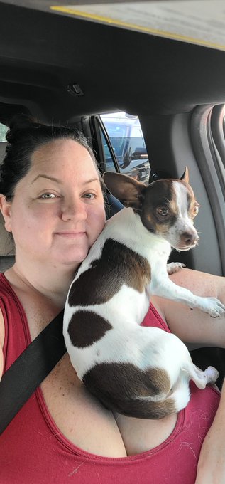 Harvey's a parrot. 🦜🤣 https://t.co/v4NuBHh8iE<a href="/tag/manyvids"class="tags"><span>#manyvids</span></a>