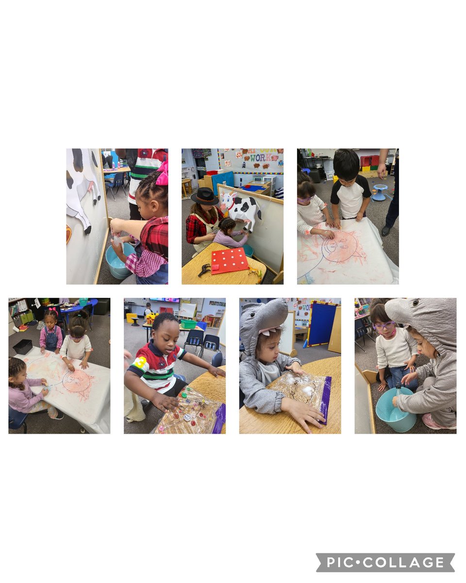 clarkCESprek's tweet photo. Today was a huge success! We milked a cow. We colored a pig. We matched colors with goats. We made a sheep (Graham crackers and white frosting). It was a wonderful day in Pre-k! #makeanimpact @Comptoncubs @lairbeth1 #prekrocks https://t.co/tMeuSIzGKp