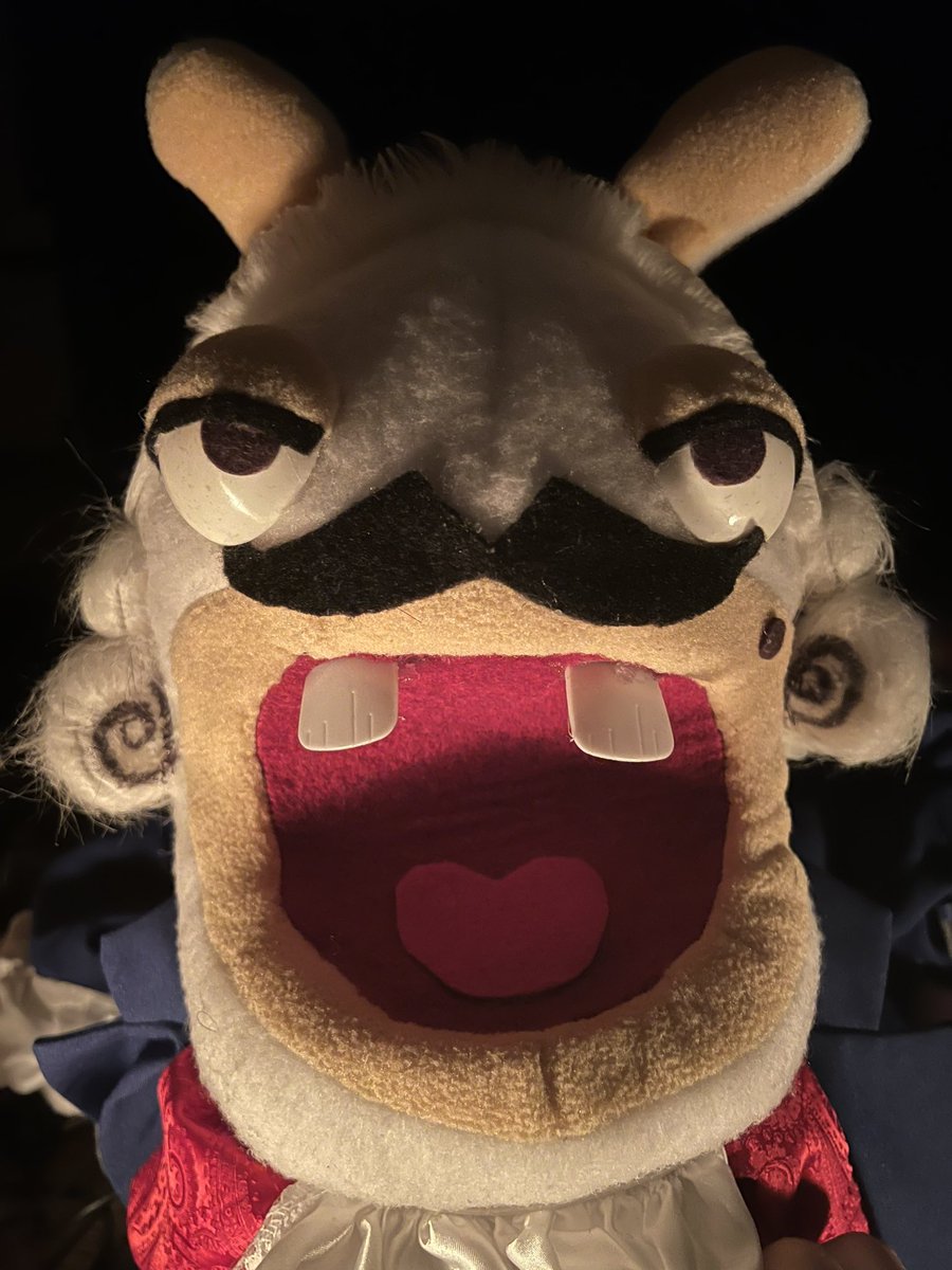 DavideSoliani tweet picture