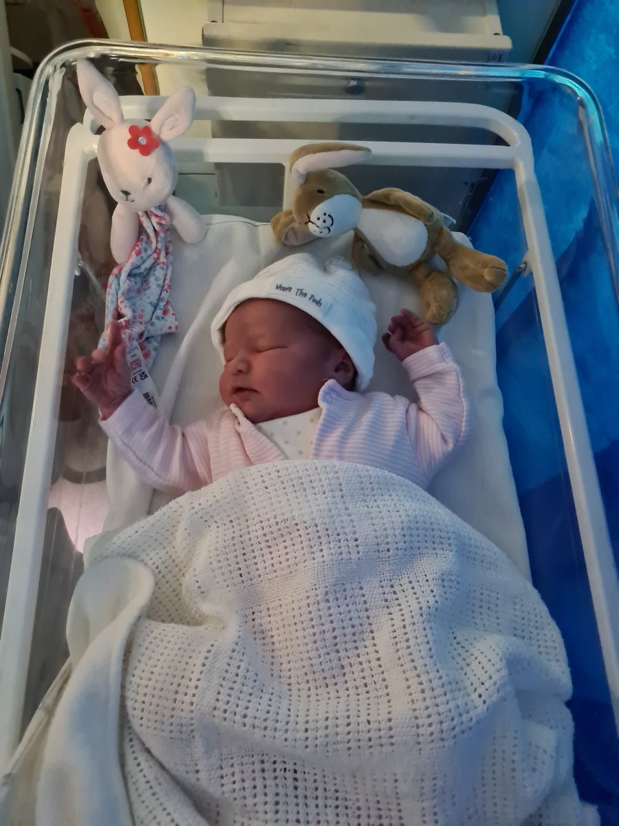 Ant Pulley tweet media