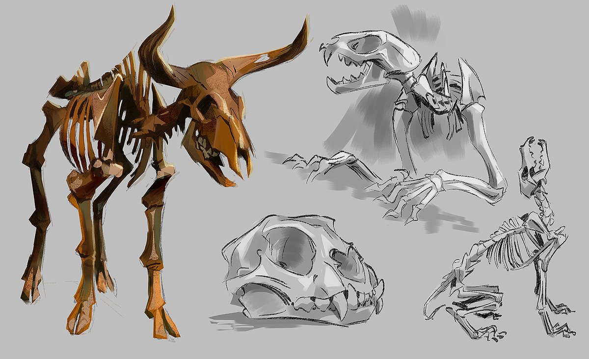 skeleton no humans bone grey background skull simple background monster  illustration images