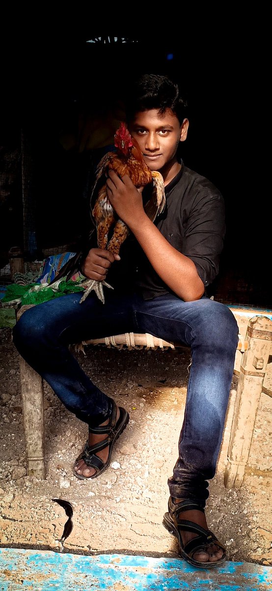 yugetaker's tweet photo. எதிலுமே #தோல்வி கூடாதடா எவனையும் #வெற்றி நீ கொள்ளடா.. 🐓😈🔥 
#aadukalam #cockfighting #roosterfight @dhanushkraja @wunderbarfilms #vetrimaaran @sunpictures https://t.co/0vrSrJOOd3