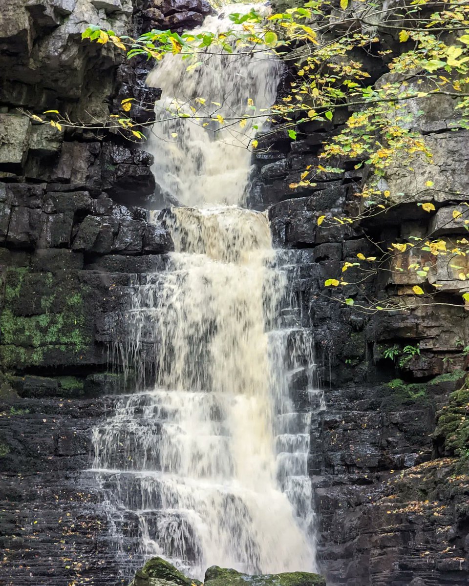 chriscookman1's tweet photo. Mill Gill Force

#nofilter #noedit #millgillforce #waterfall #yorkshiredales #googlepixel6pro #teampixel #photography #landscape https://t.co/D8OdduB5jp
