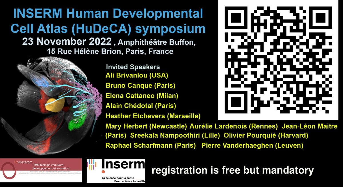 Want to know more about Human Embryology? Join us for the 1st meeting of the <a href="/Inserm/">Inserm</a> HuDeCA project. 23 November 2022 in Paris🇫🇷. Registration is FREE. Speakers include <a href="/BrivanlouLab/">Ali H. Brivanlou</a> <a href="/Etche_homo/">H. Etchevers (she/her/hers) 🐦🐳🦣</a> @PourquieOlivier @VanderhaeghenP2  <a href="/maitrejl/">Jean-Léon Maître</a>  Elena Cattaneo Mary Herbert &amp; more
