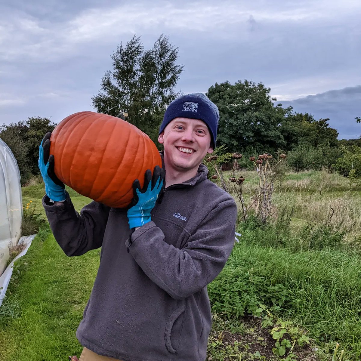 Maria_TeaRex's tweet photo. Celebrating our pumpkin &amp; squash harvest today 🎃 We picked the glut  earlier in October and been ripening ever since in the tunnel. Lots of pumpkins and squash recipes on the go for Oct &amp; Nov 😅

#Homegrown #Pumpkins #GIYIreland #Halloween #Polytunnel #Harvest #October https://t.co/wszhLE18Jn