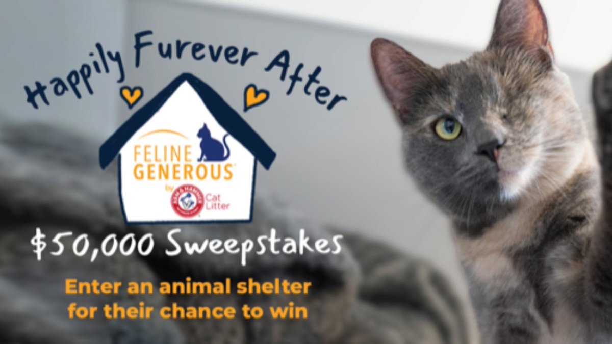 ThinkLikeaCat's tweet photo. ARM & HAMMER™ Feline Generous Program Kicks Off Campaign to Celebrate Purrfectly Impurrfect Cats Living “Happily Furever After” and a chance for 5 Eligible Shelters to Win $10,000 Each. Rules and entry form at https://t.co/bS8zOWBvcF
#FelineGenerous #HappilyFureverAfter https://t.co/Ppe3Y0YnlA
