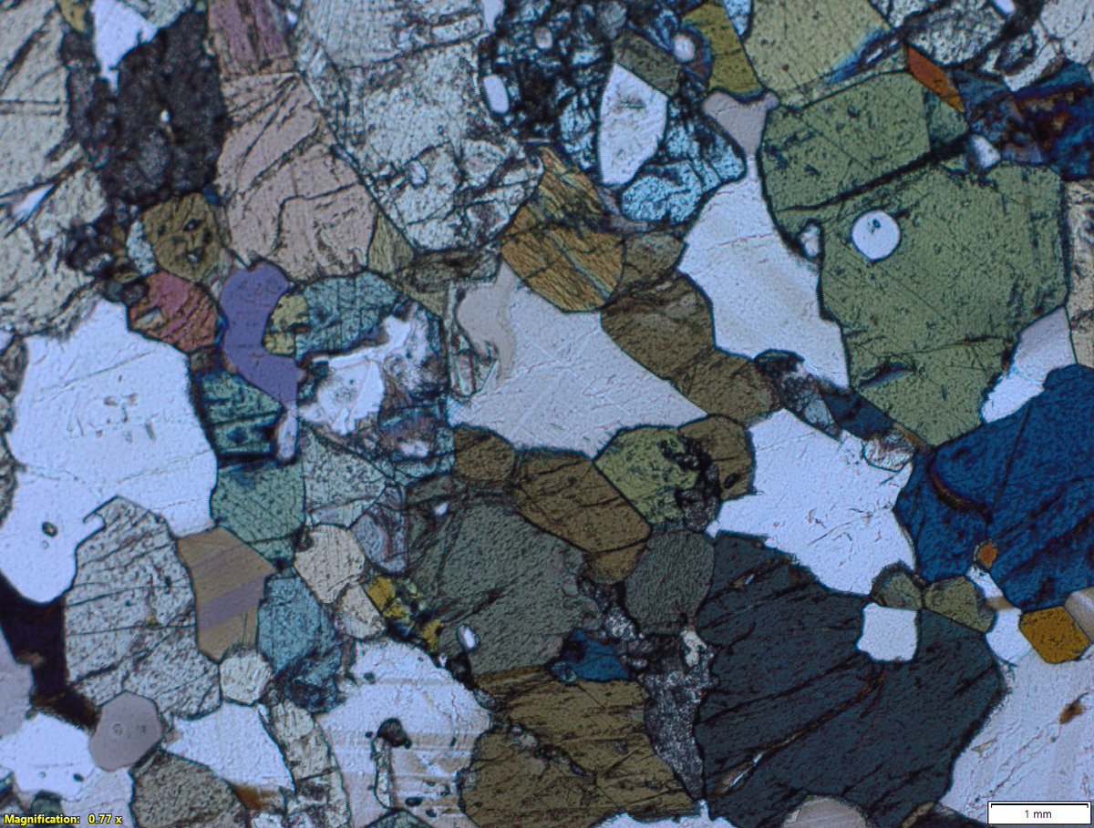 OUGS Scotland tweet media