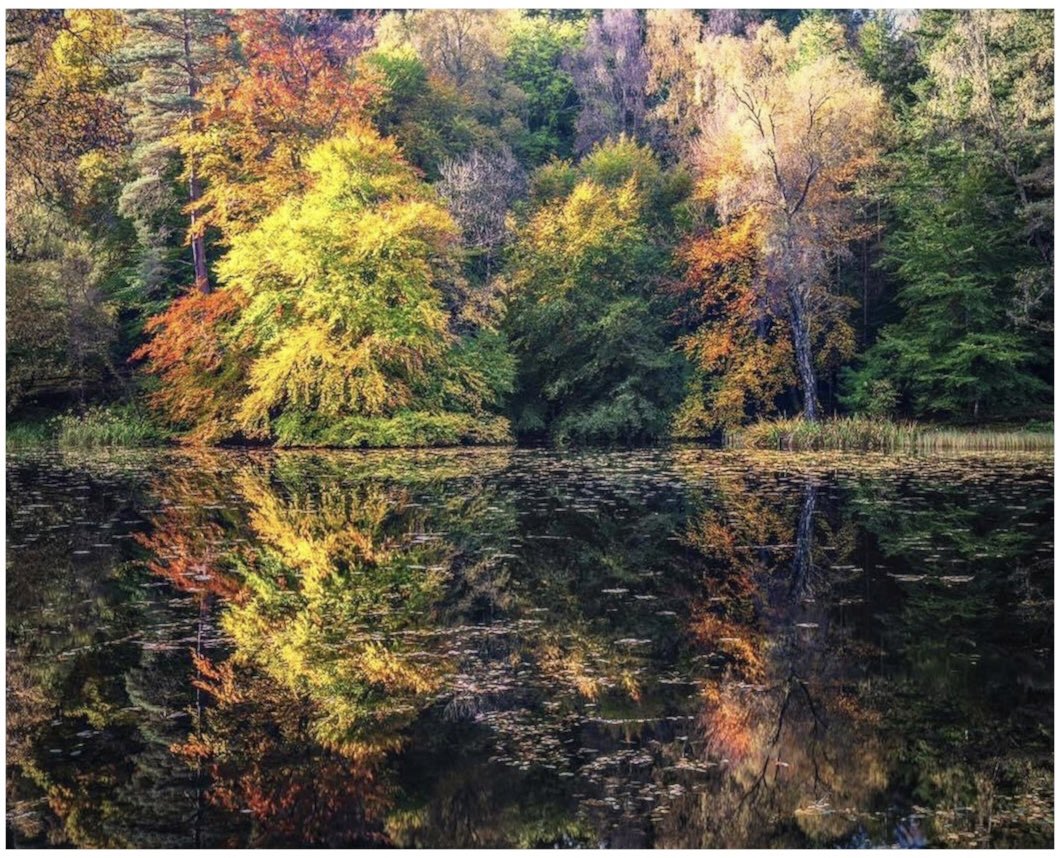 Loch Dunmore, Pitlochry. Autumn is drawing to a close but my favourite photography season beckons……