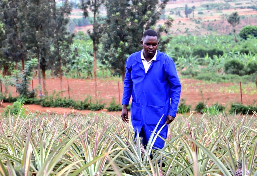 GSF_RC's tweet photo. We're very pleased to welcome Mr. Fulgence, an agronomist who has recently joined our team. @BafulRwanda completed his internship in #Israel. We look forward to a shared experience towards the growth of our mission in the community.

@RwandaLocalGov https://t.co/JxzkE2w9gB
