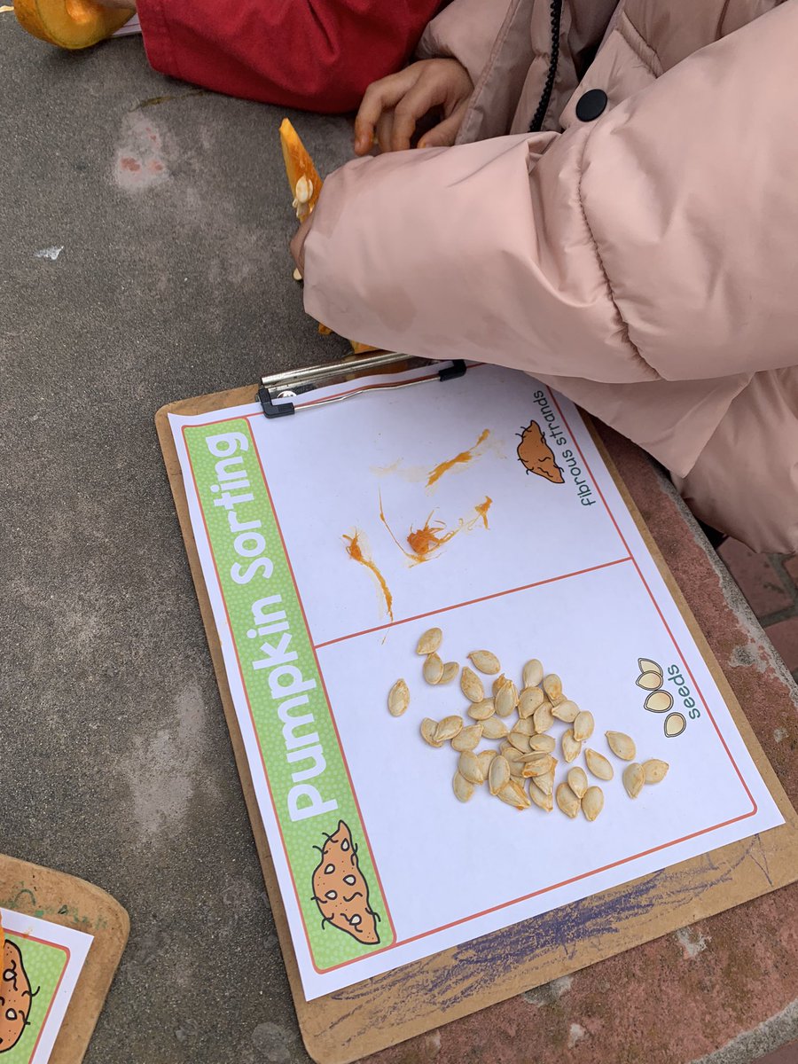 West Portal Elementary Garden tweet media