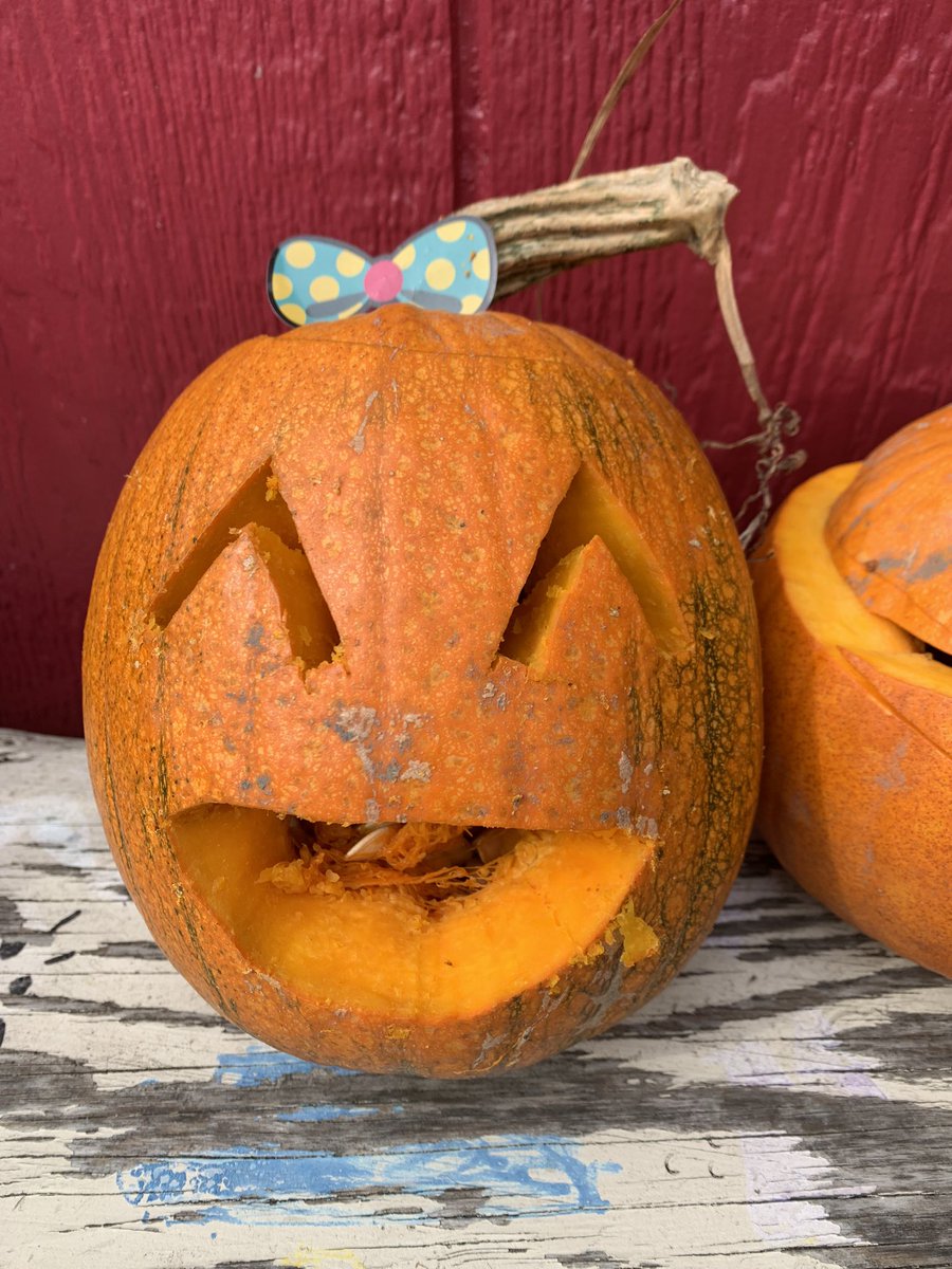 West Portal Elementary Garden tweet media