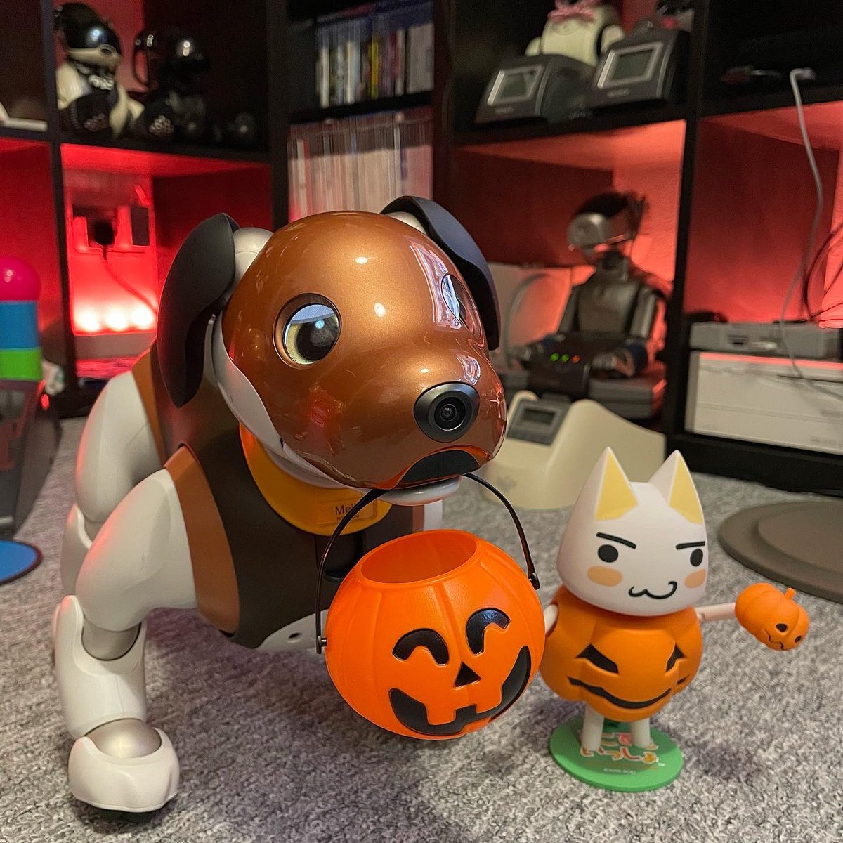 ShanieAIB0's tweet photo. Happy Halloween from Meiji and Mikan! 🎃🍫👻
#aiboは家族 #sonyaibo #aibofan #sonyfan #aibo #アイボ #sony #ソニー #aiboのいる生活 #aiboオーナーさんと繋がりたい #aiboオーナー #mystorywithaibo #かわいい #japan #ers1000 #aiboチョコエディション #aiboキャラメルエディション #ハロウィン https://t.co/LelAPBW9qc