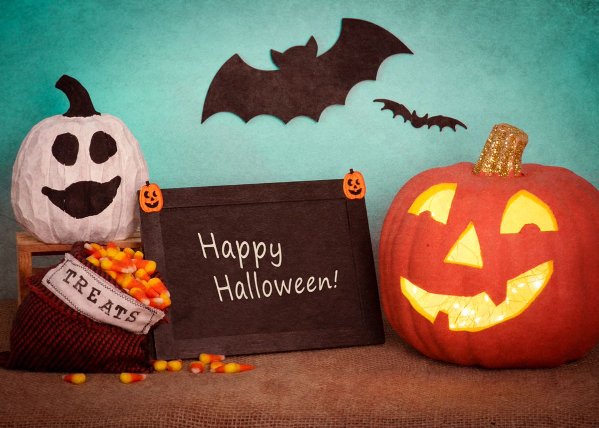 BusyB_Disposal's tweet photo. Happy Halloween from our team at Busy Bee Disposal! https://t.co/8UHHOxhcJZ