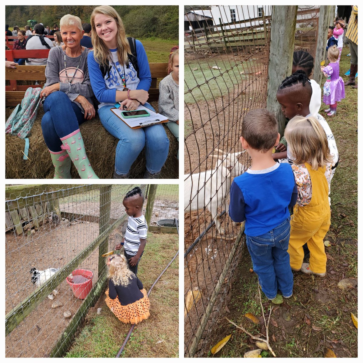 KathyLiner's tweet photo. Field trip to the pumpkin patch today! 😁😁😁 https://t.co/F2x6odtVzU