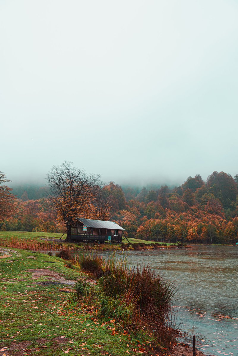bonafideemel's tweet photo. 🌿🍂🍁🌾🏡

#keremaliyaylası
#sonbahar
#Autumn https://t.co/oG3sLJtJOl