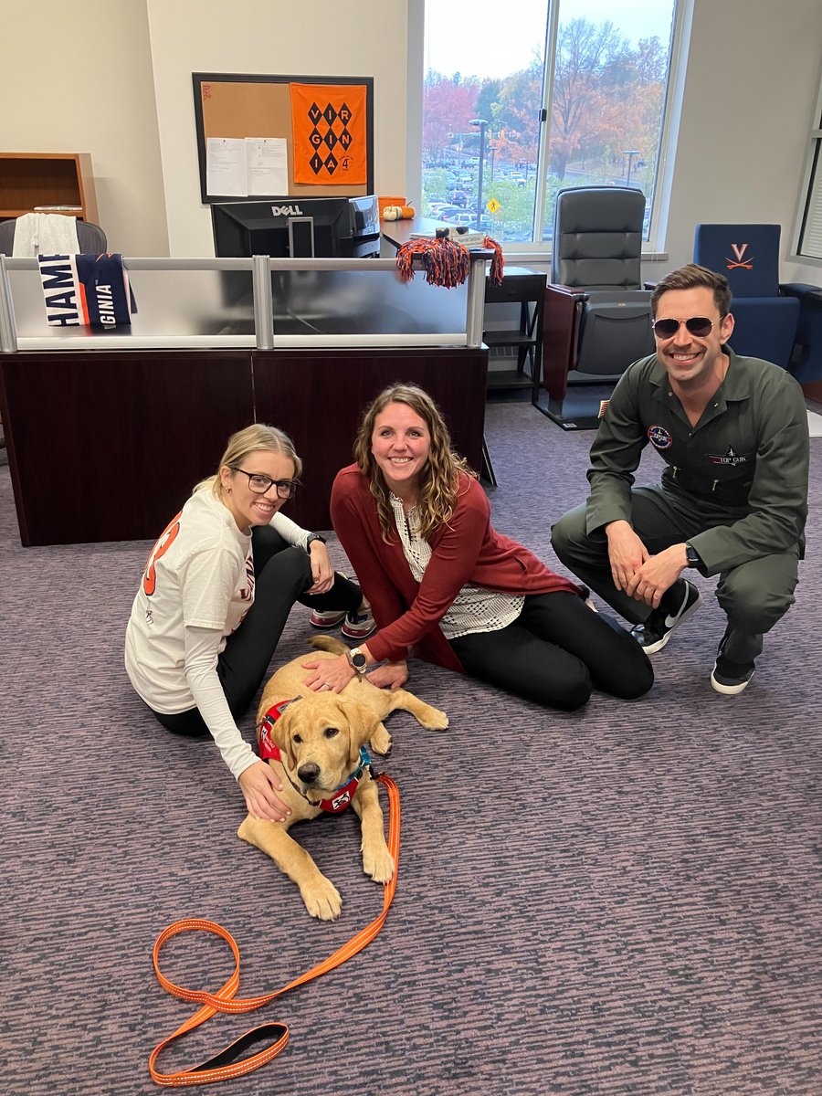 UvaChamp's tweet photo. 🎃👻 Happy Halloween!

@servicedogsva https://t.co/CKUmf9Bmvw