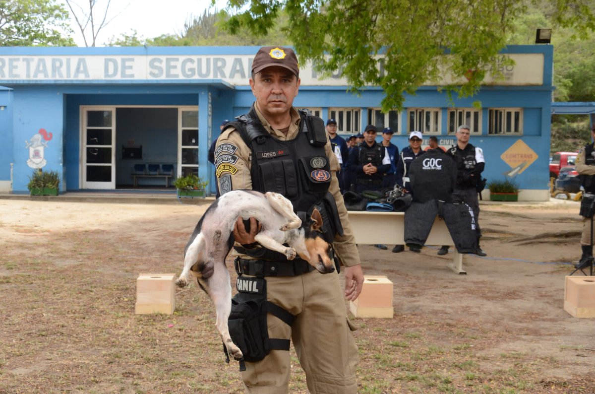 GMRio's tweet photo. Não sabemos como sua semana começou, mas, independente de como está sendo, se liga nessa sequência de fotos para deixá-la para mais alegre.
Nossos #doguinhos são hábeis, disciplinados e felizes!
#k9 #cachorreiro #dog #cão #cachorro #operacoescomcaes https://t.co/A9yRom5bVh