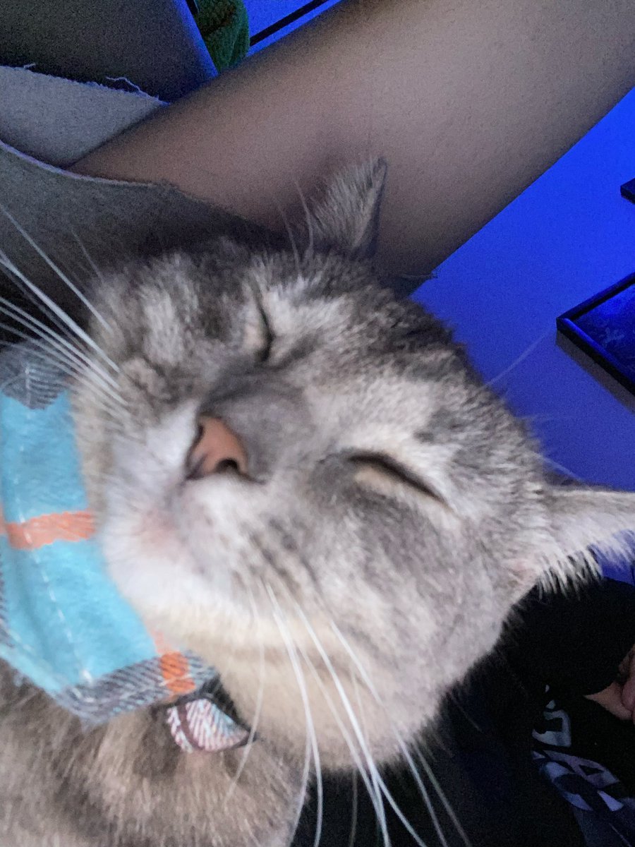 no thoughts in this head