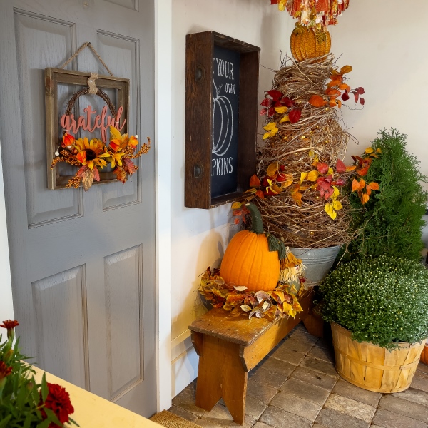 Happy Halloween from Lauren Berger Collection!!! #halloween2022