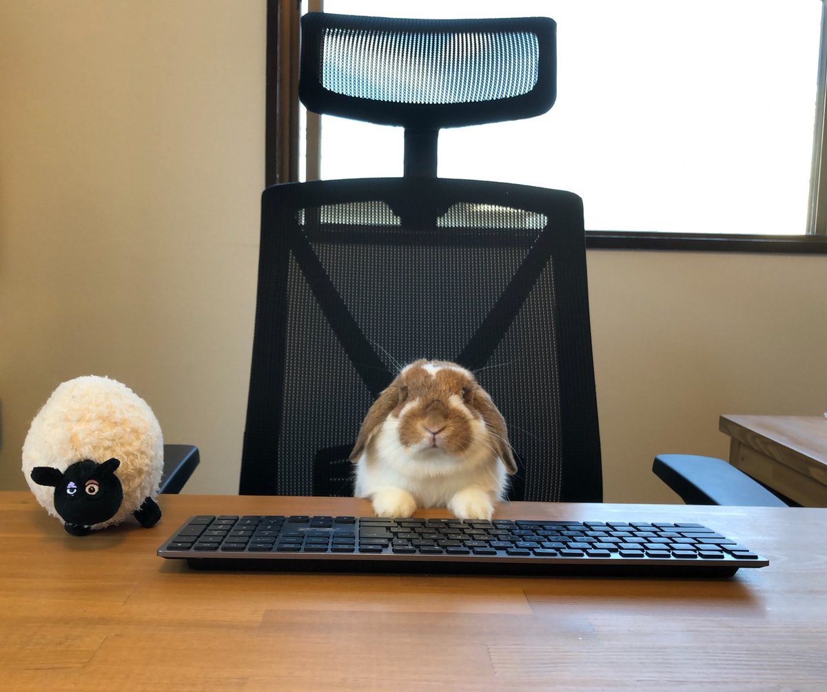 mikmyu10l05's tweet image. おはようございます

11月もよろしくお願いします
(U*'ω'*)