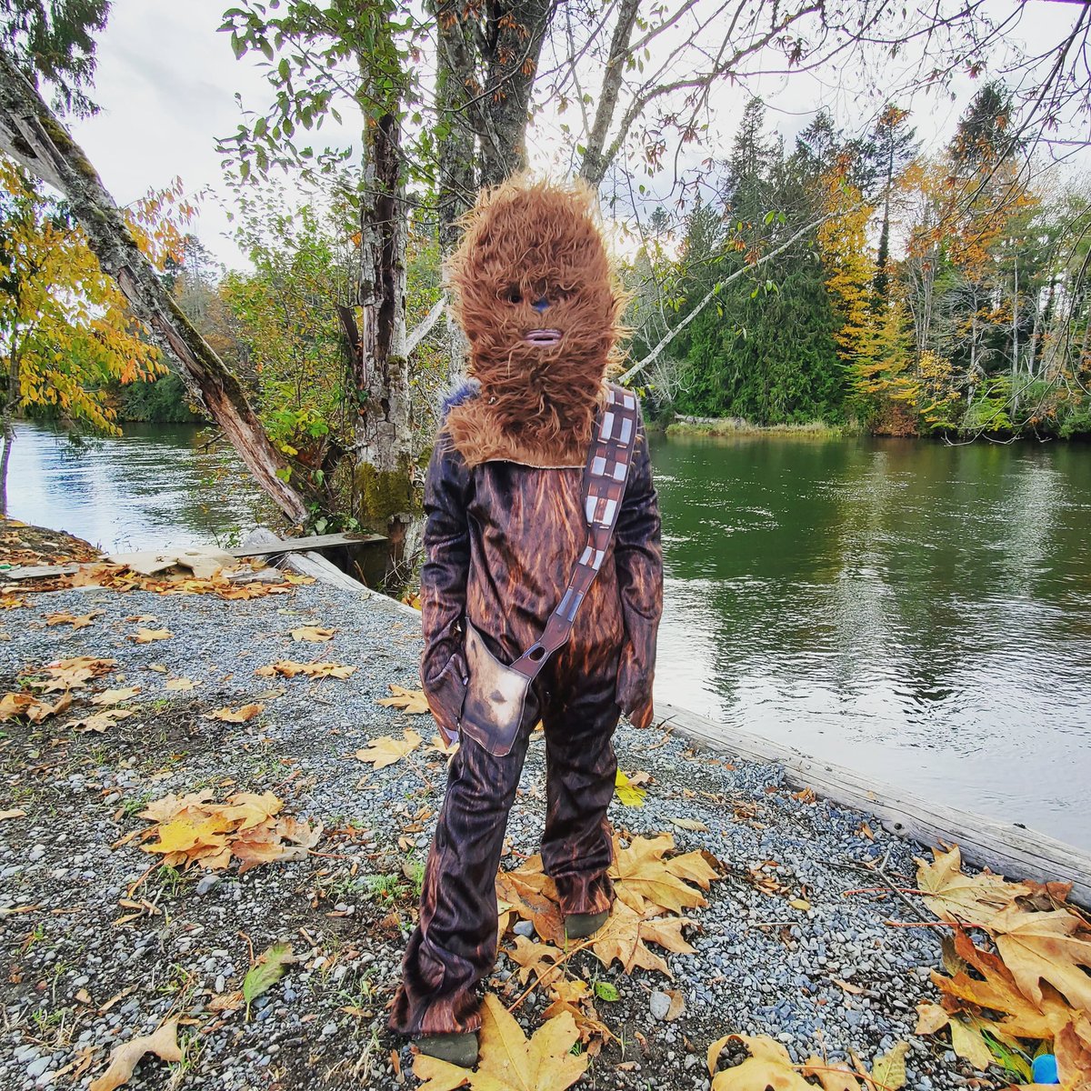 aylelum's tweet photo. 🎃 Happy Halloween 🎃 

#happyhalloween #halloween #modelintraining #rainesroadstyle https://t.co/xZxotlVs7B