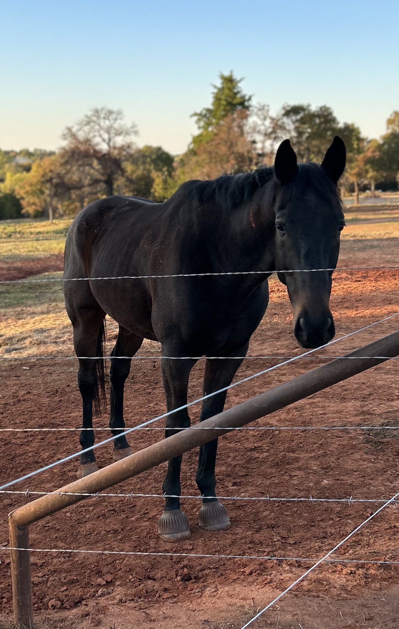 Kissin’ Kate Barlow on Twitter "I love him with all my heart https//t