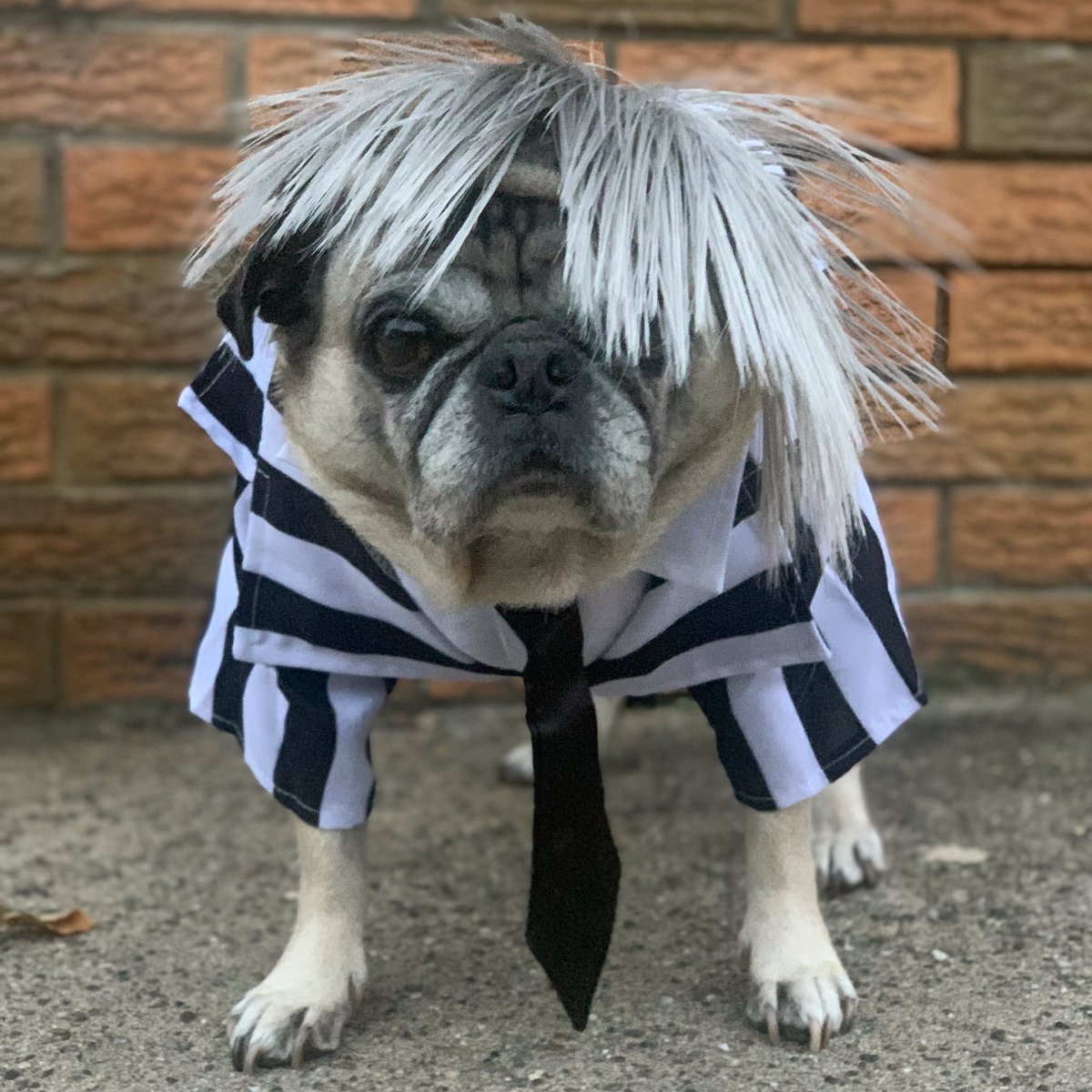 BEETLEJUICE, BEETLEJUICE, BEETLEJUICE