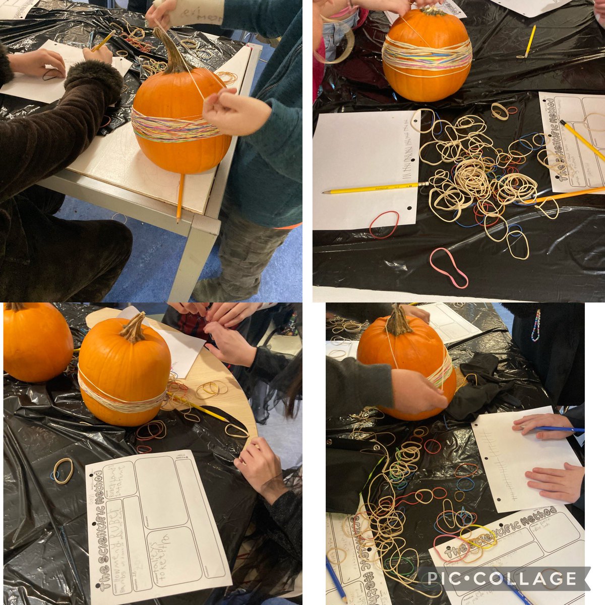 Ms Yager. she/her tweet media