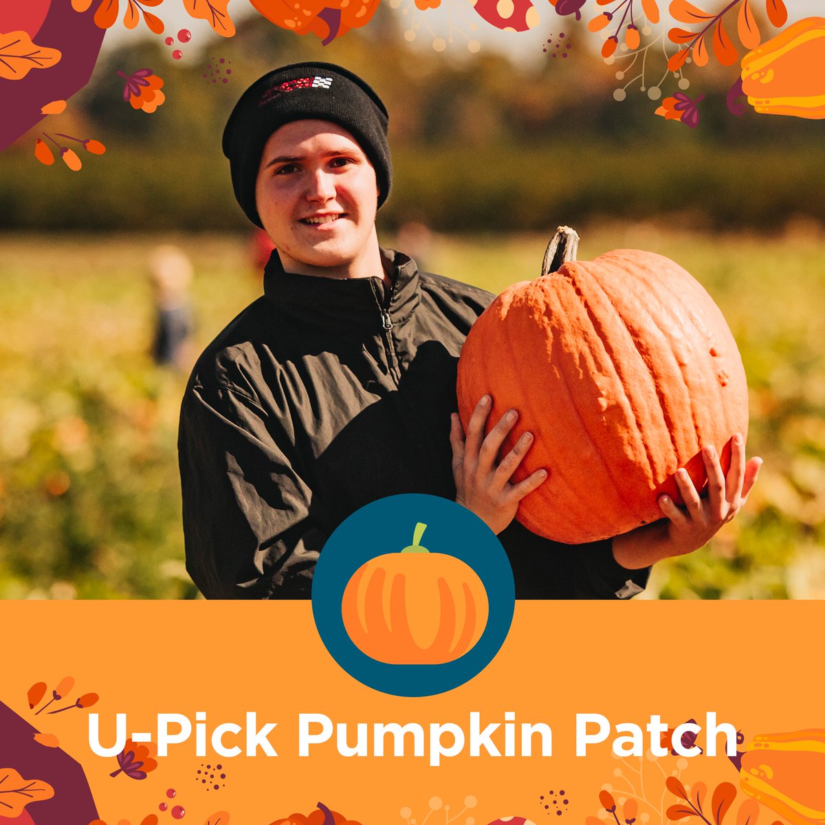 fiferorchards tweet media