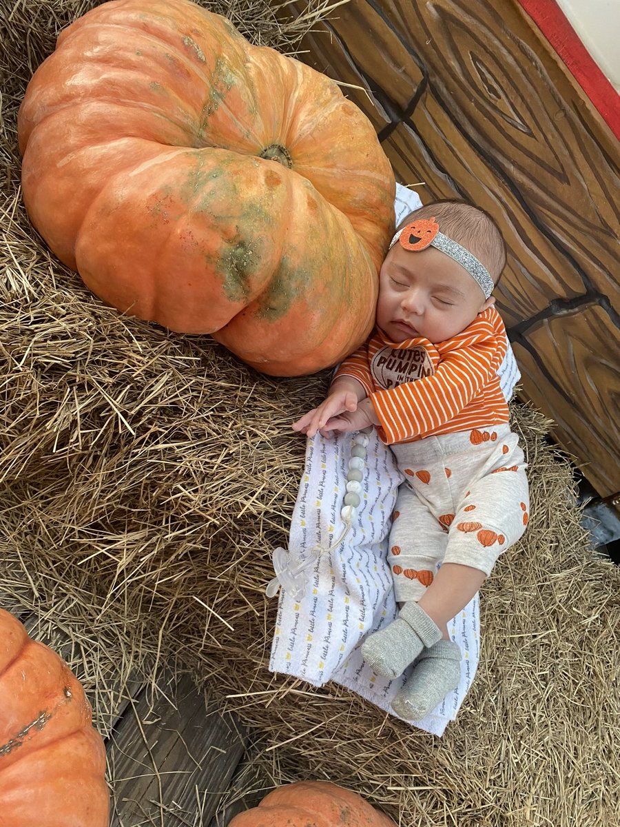 deeezkneez's tweet photo. Anayas first Halloween 🎃 💗 https://t.co/zVKVoadEY6