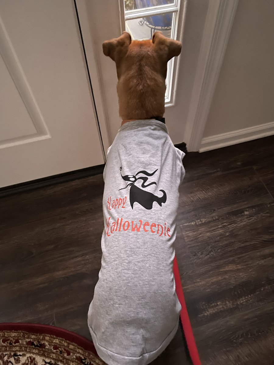 Hamilton tweet media