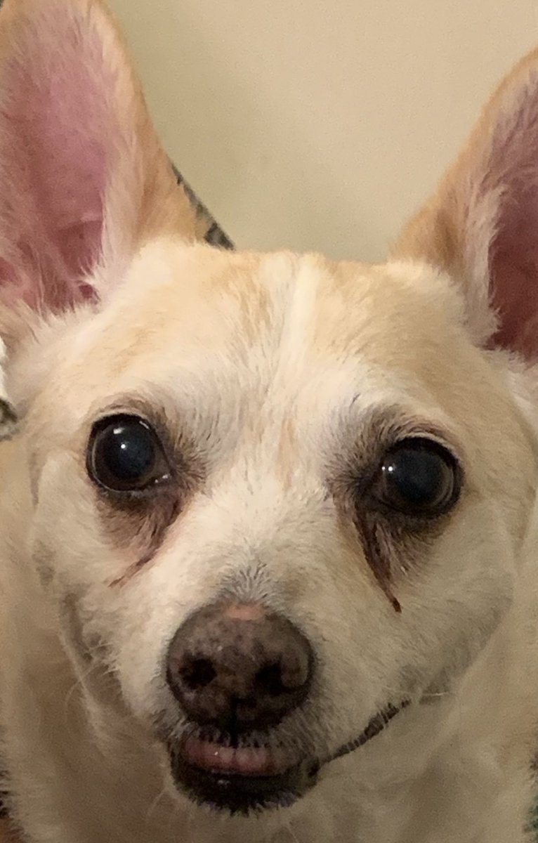 Happy Halloween! 👻