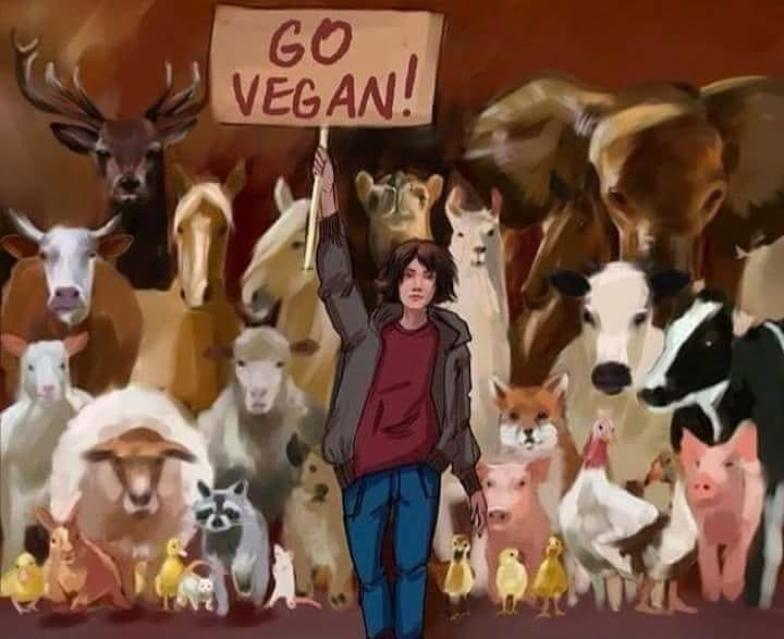 AngelaLidd's tweet photo. WORLD VEGAN DAY
Until every day is vegan day,  until every cage is empty. #veganism https://t.co/XJNczhNm6d